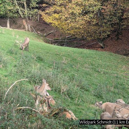 Eifel-Ferienhaus Landblick Hürtgenwald Exteriör bild
