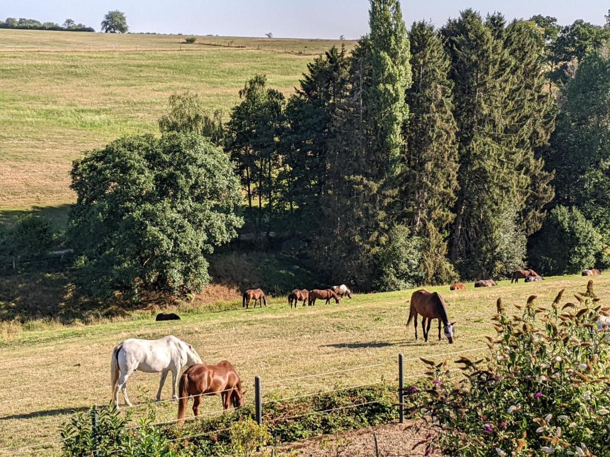 Eifel-Ferienhaus Landblick Hürtgenwald Exteriör bild