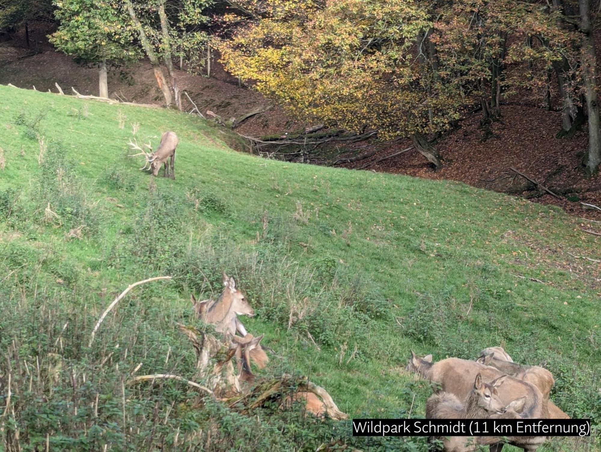 Eifel-Ferienhaus Landblick Hürtgenwald Exteriör bild